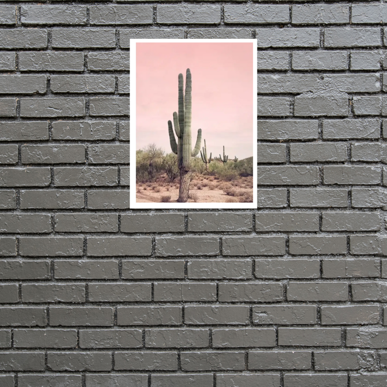 Giant cactus desert scene | High quality UV protected framed canvas print | Green, beige, pink | 30 cm x 40 cm