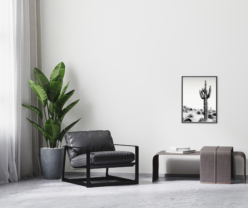Giant cactus desert scene | High quality UV protected framed canvas print | Black and white | 50 cm x 70 cm LGE