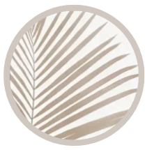 The minimalist
