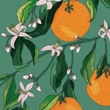 Mediterranean citrus oranges high quality UV protected framed canvas print | Orange, green | 50 cm x 70 cm LGE