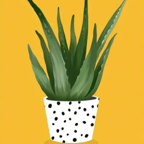 Art deco succulent |  High quality UV protected framed canvas print | Black and white pot | Yellow background | 30 cm x 40 cm