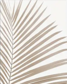 Minimalist palms with Monstera | High quality UV protected framed canvas prints | Beige, white |Set of 3 | 50 cm x 70 cm LGE